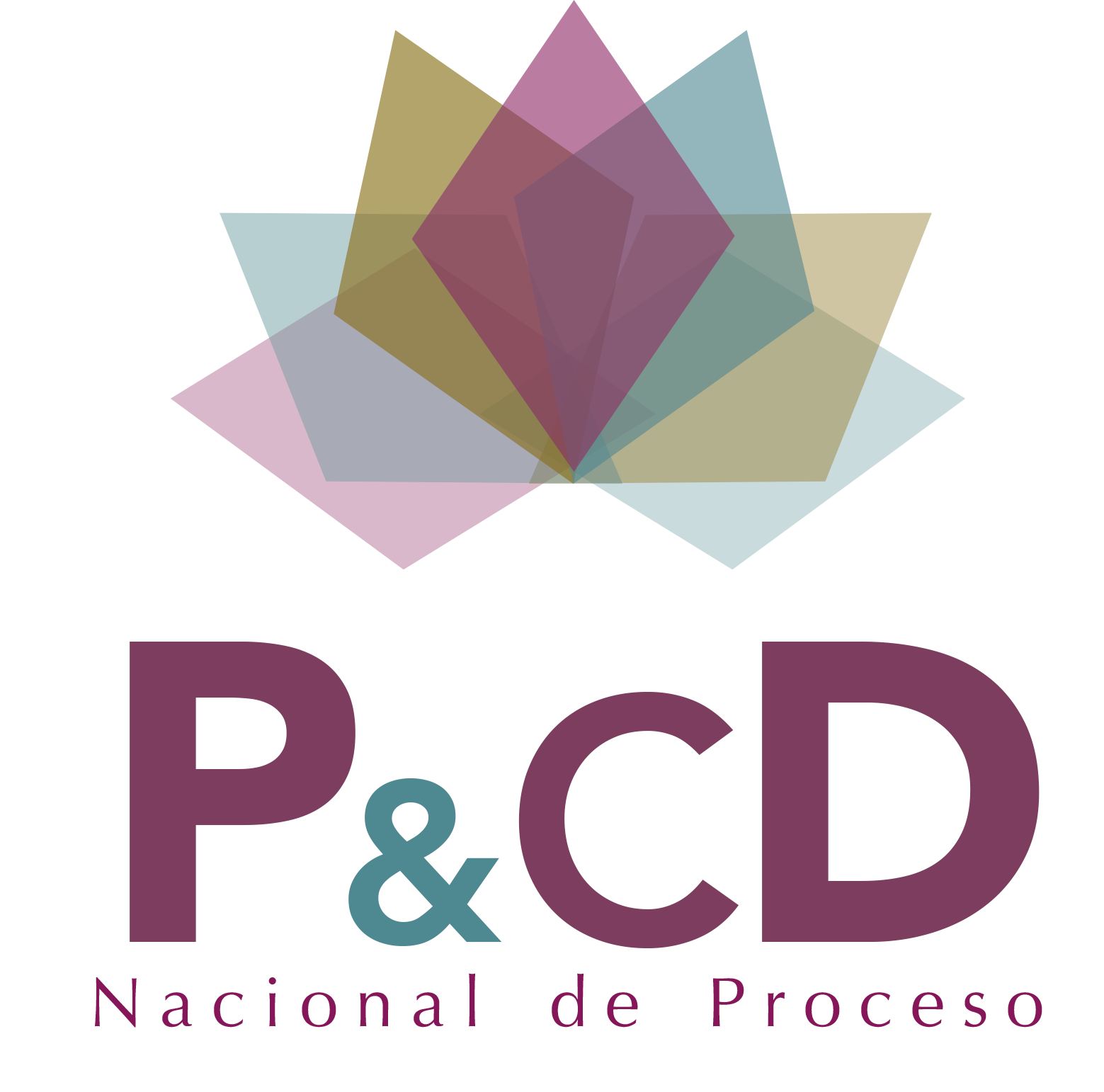 LOGO P&CD